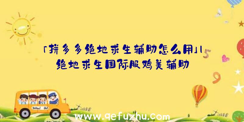 「拼多多绝地求生辅助怎么用」|绝地求生国际服鸡美辅助